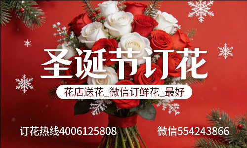 肥乡区花店送花_微信订鲜花_圣诞节订花_最好? 肥乡区花店